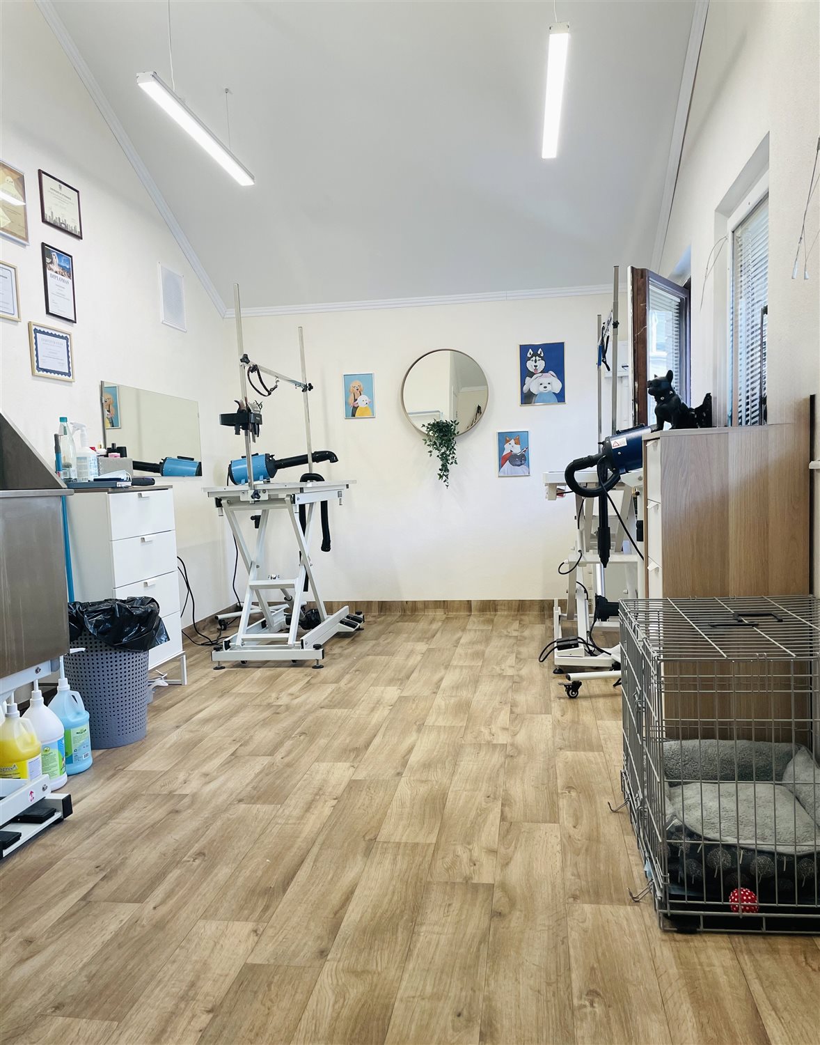 Uodegų Klubo salono erdvė